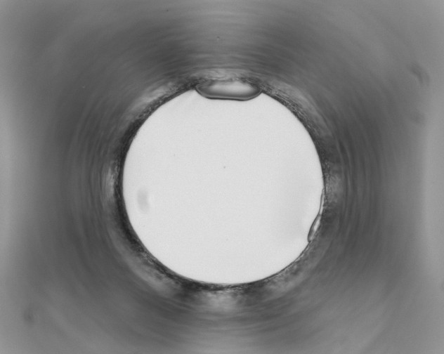 X0000111000120200907311039