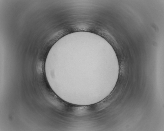 X0000111000122200907311039