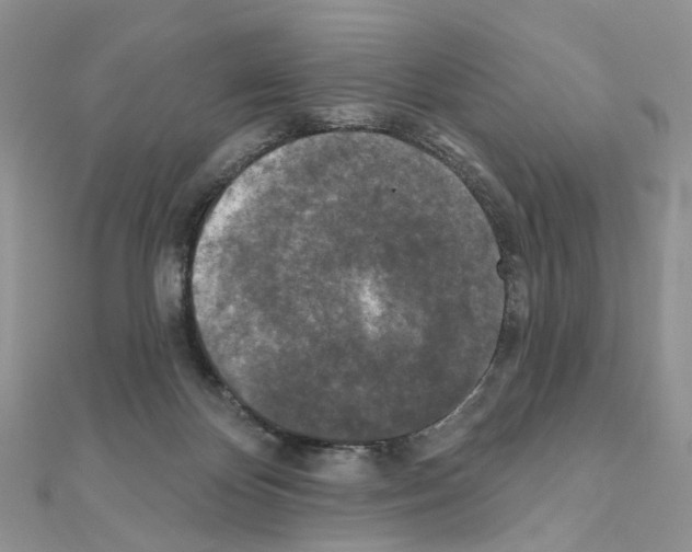 X0000111000124200907311039