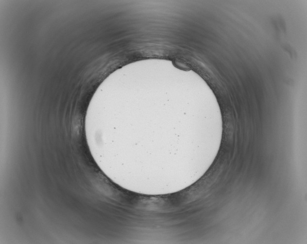 X0000111000125200907311039