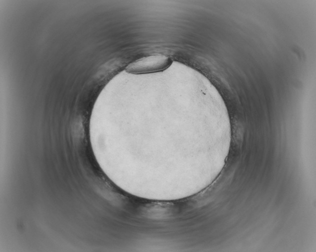 X0000111000128200907311039