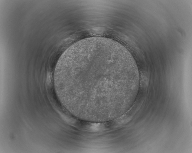 X0000111000130200907311039