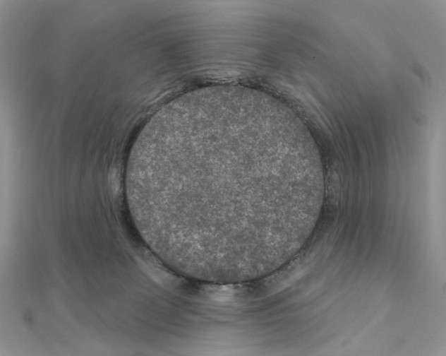 X0000111000131200907311039