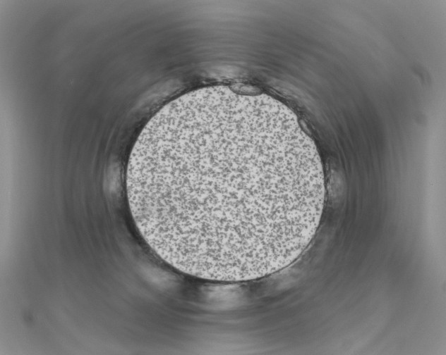 X0000111000132200907311039