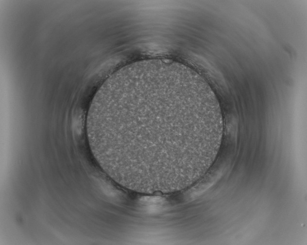 X0000111000133200907311039