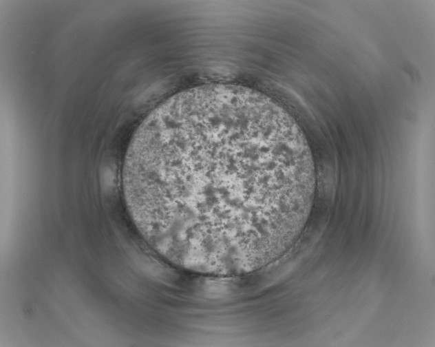 X0000111000134200907311039