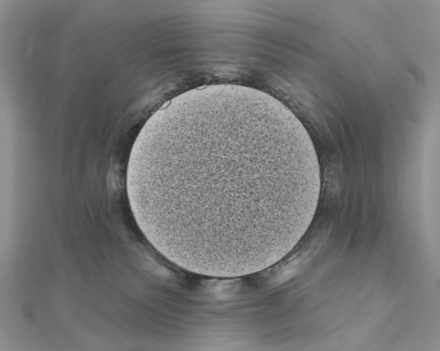 X0000111000135200907311039