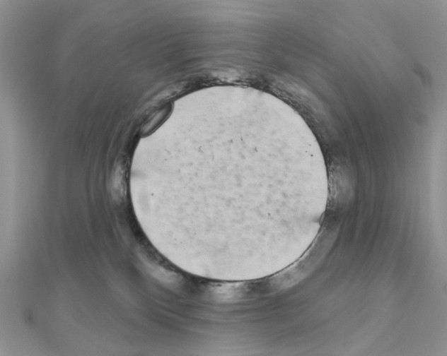 X0000111000136200907311039