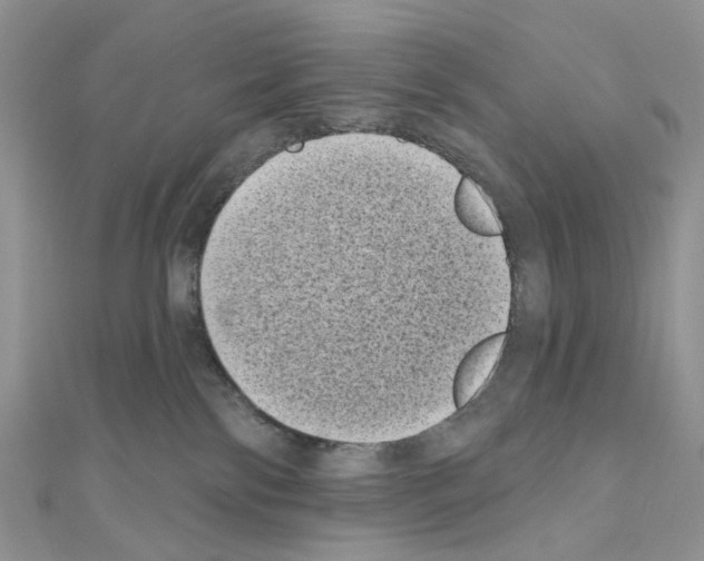 X0000111000138200907311039