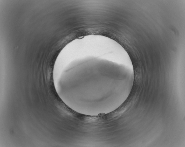 X0000111000139200907311039