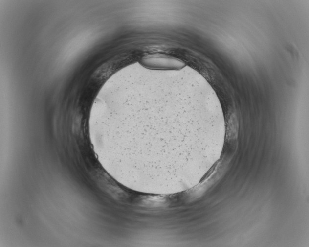 X0000111000140200907311039