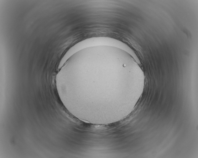 X0000111000141200907311039