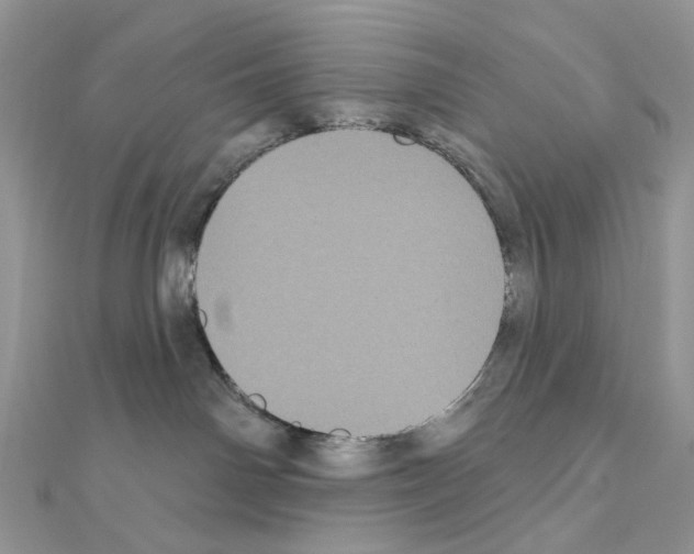 X0000111000142200907311039