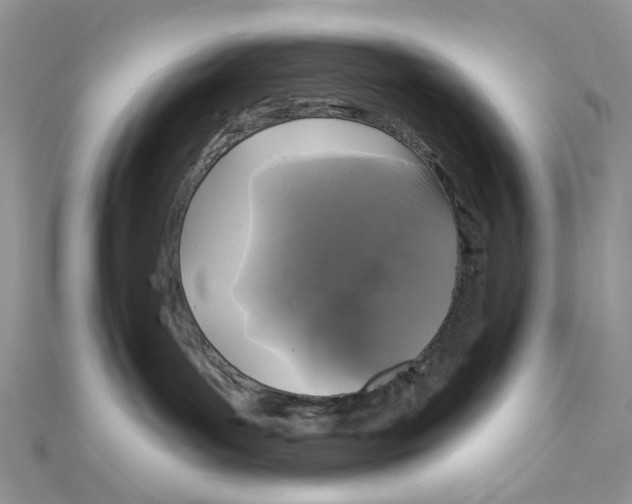 X0000111000143200907311038