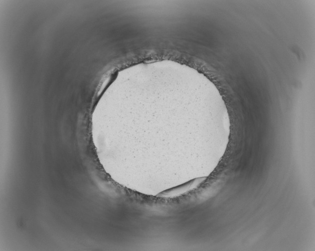 X0000111000144200907311038