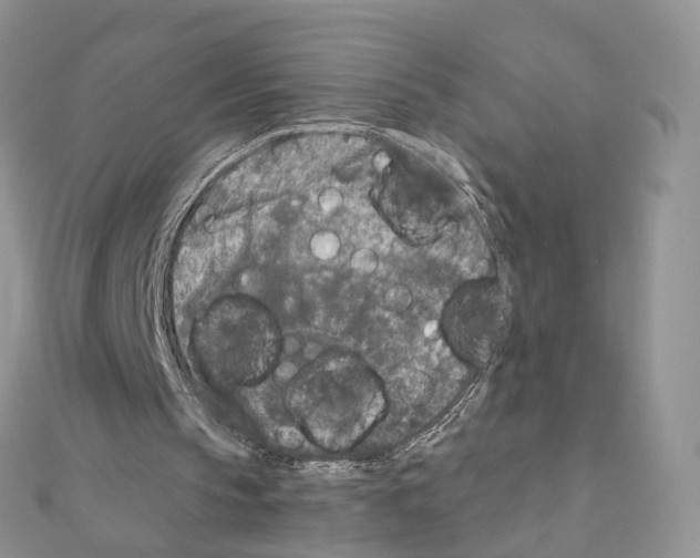 X0000111000145200907311038