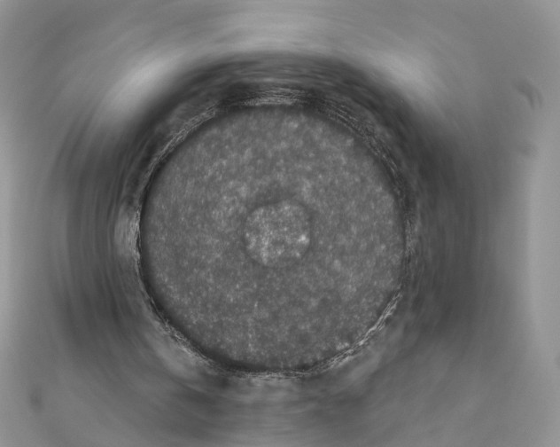 X0000111000146200907311038