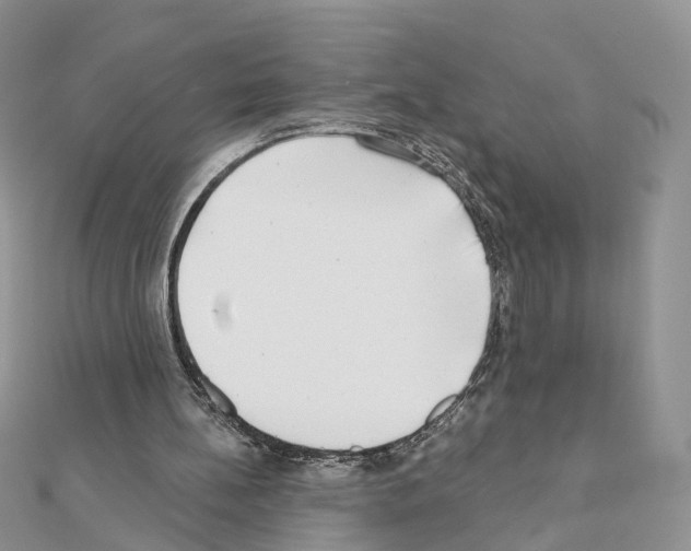 X0000111000148200907311038