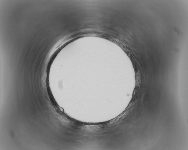 X0000111000150200907311038