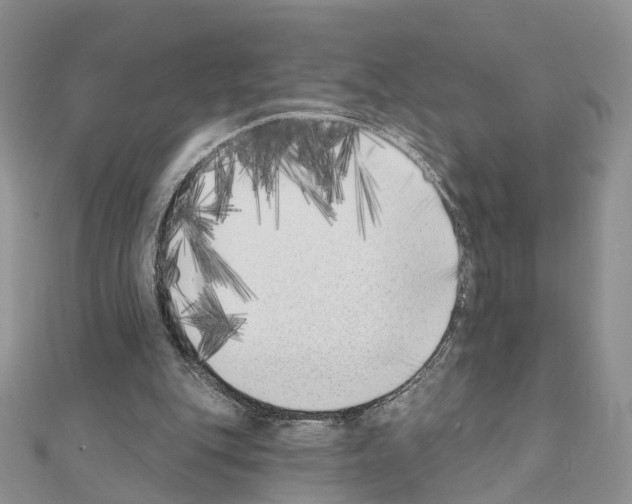 X0000111000151200907311038