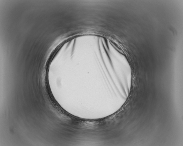 X0000111000152200907311038