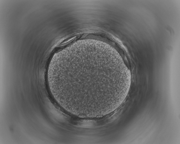 X0000111000154200907311038