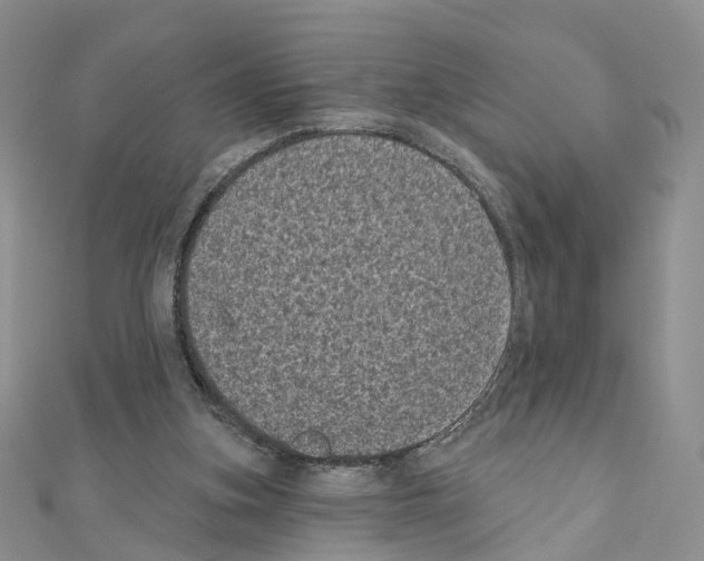 X0000111000155200907311038