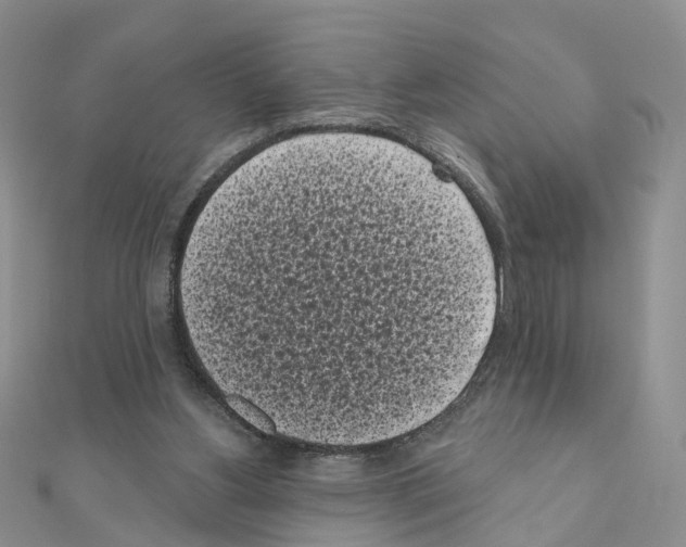 X0000111000156200907311038