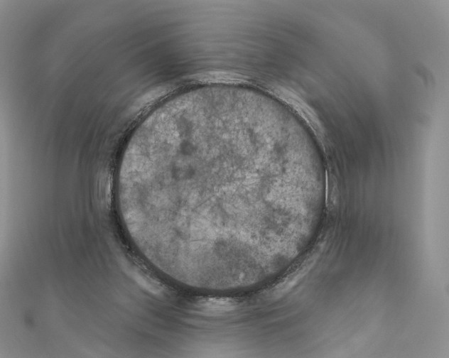 X0000111000157200907311038