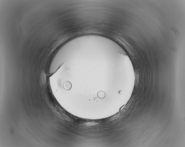 X0000111000158200907311038