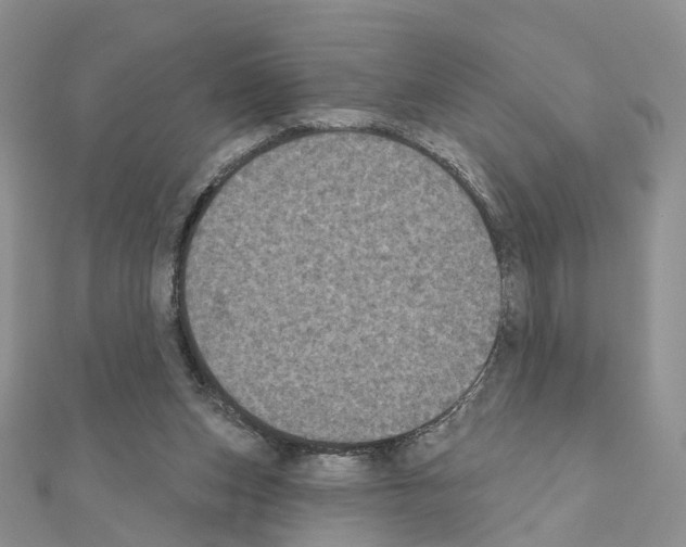 X0000111000159200907311038