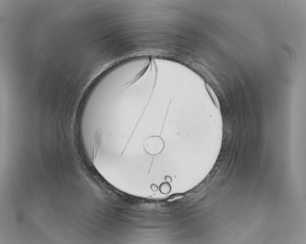 X0000111000160200907311038