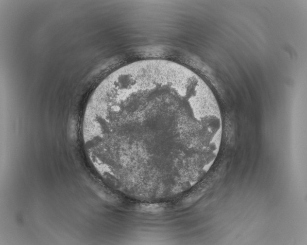 X0000111000161200907311038