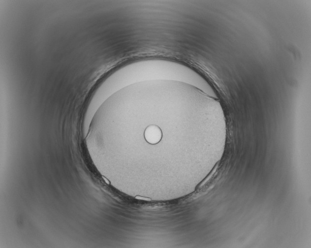 X0000111000164200907311038