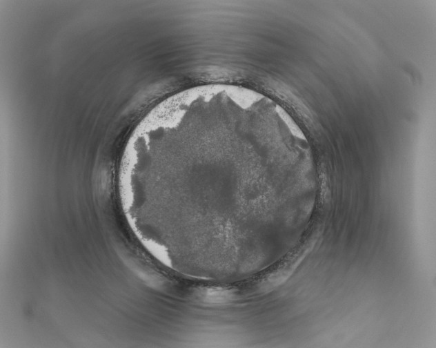 X0000111000165200907311038