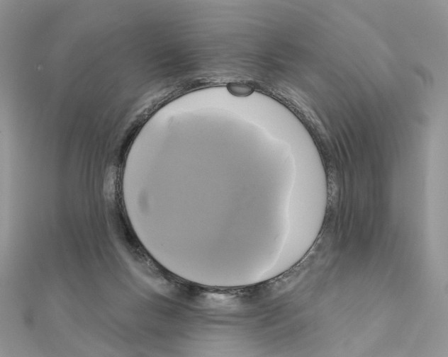 X0000111000167200907311038