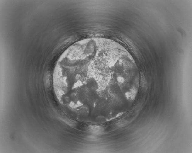 X0000111000169200907311038