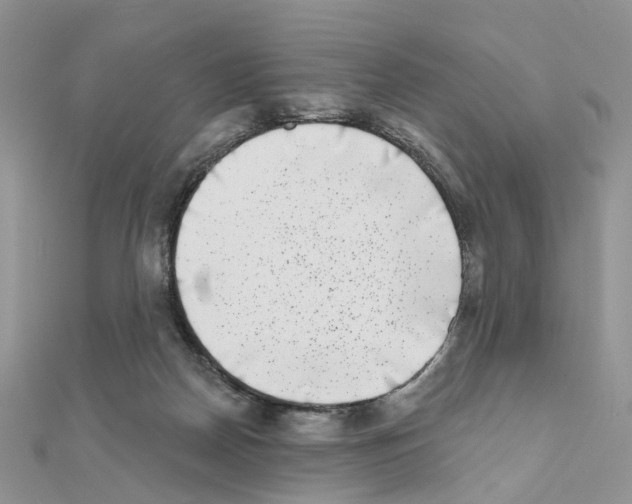 X0000111000170200907311038