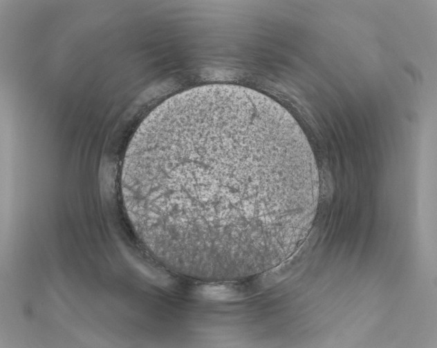 X0000111000171200907311038