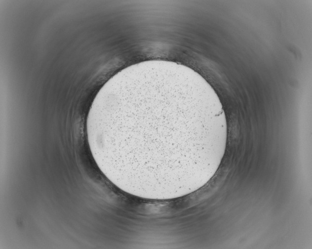 X0000111000172200907311038