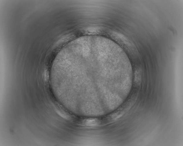 X0000111000173200907311038