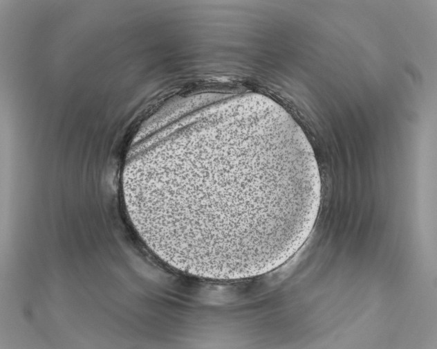 X0000111000174200907311038