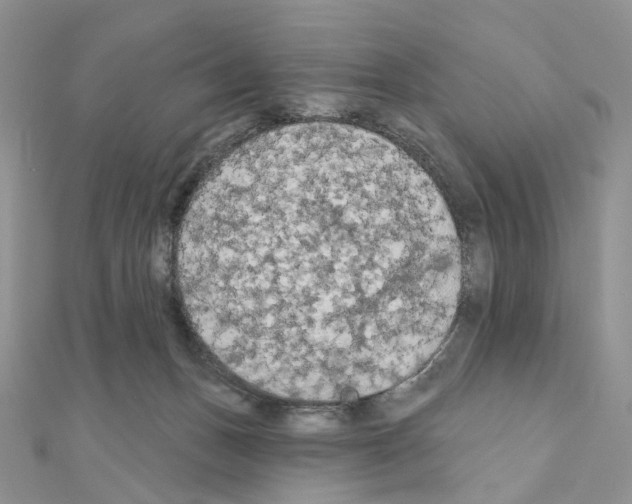 X0000111000175200907311038