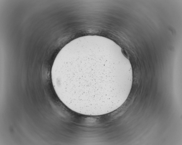 X0000111000176200907311038