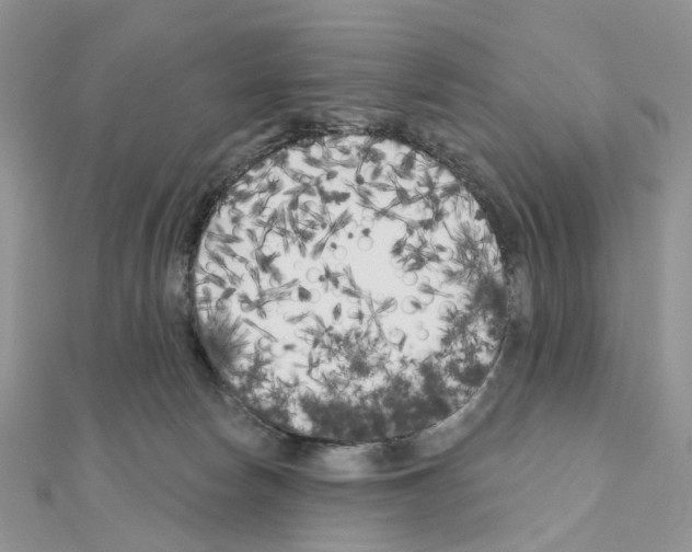 X0000111000178200907311038