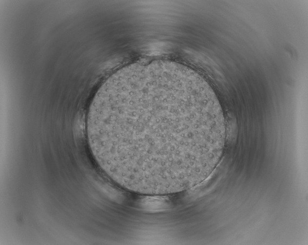 X0000111000179200907311038