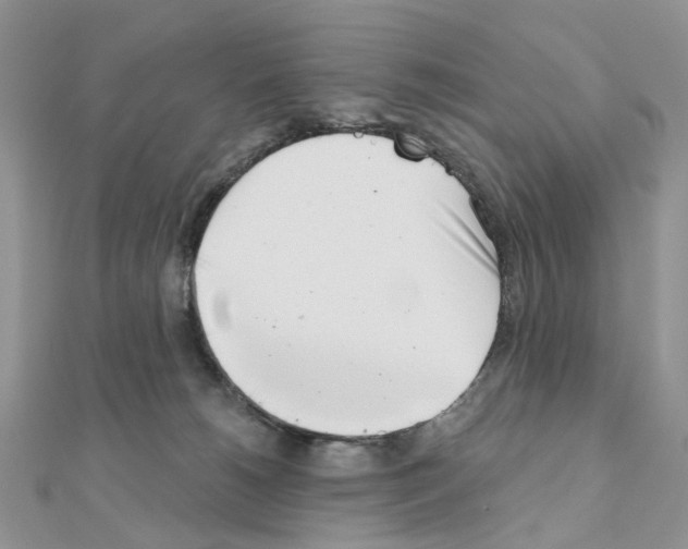 X0000111000180200907311038