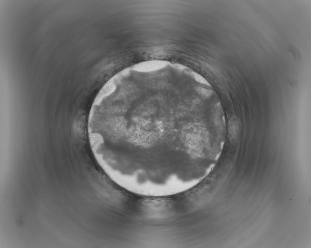 X0000111000181200907311038