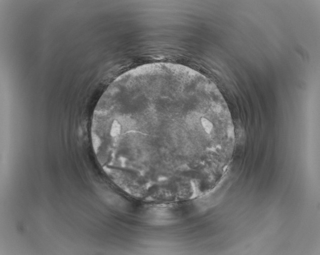 X0000111000182200907311038