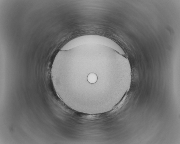 X0000111000184200907311038